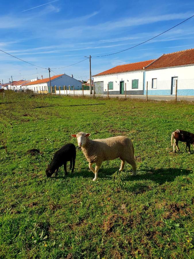 Casa Do Avo To Villa Reguengos de Monsaraz Dış mekan fotoğraf